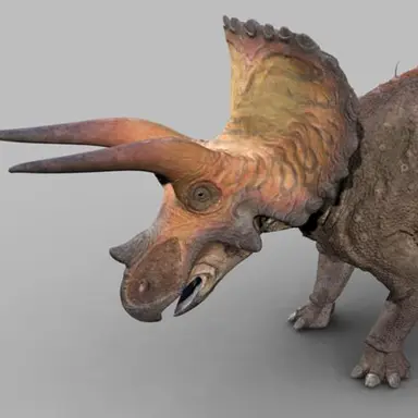 Profile image of 트리케라톱스