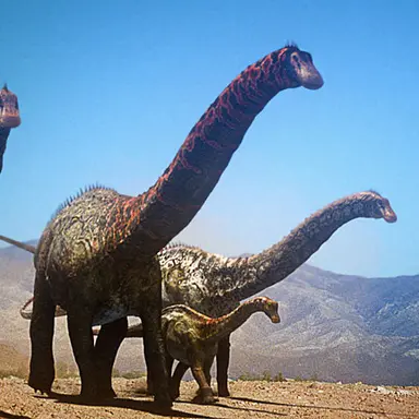 Profile image of 딘헤이로사우루스