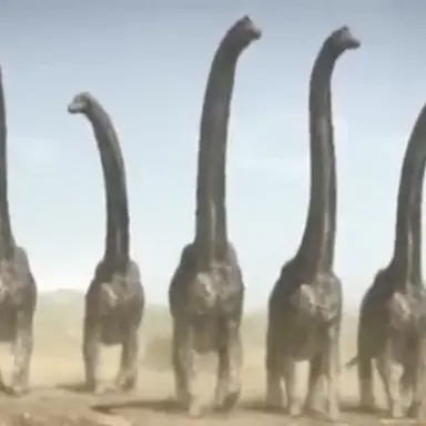 Profile image of 루소티탄