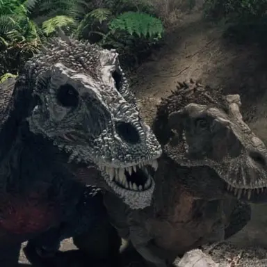 Profile image of 스텀피와팅커벨