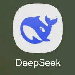 Profile image of 딥시크