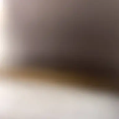 Profile image of アメリカ