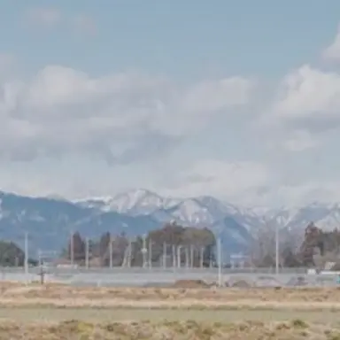 Profile image of パラオ