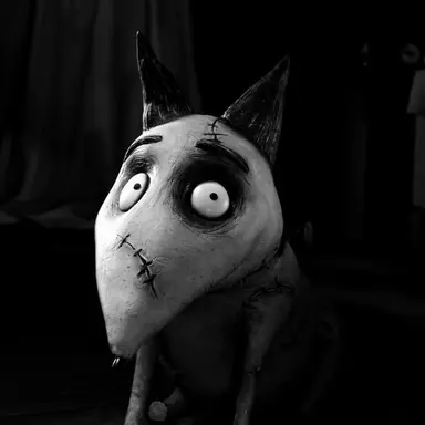 Profile image of 스파키