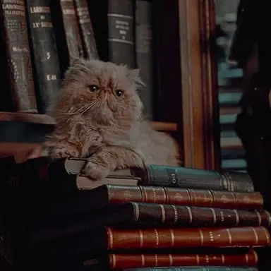 Profile image of Hermione Granger