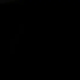 Profile image of 금성제