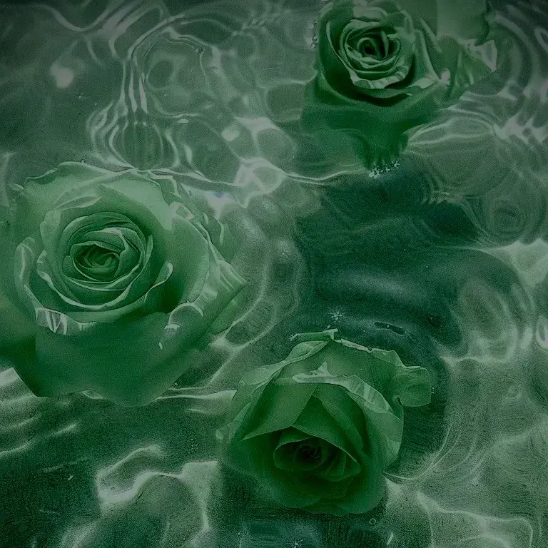 VitalZebra4037의 The Slytherin Boys