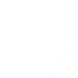 Profile image of 곰숭