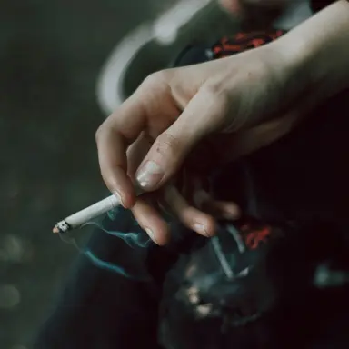 Profile image of v