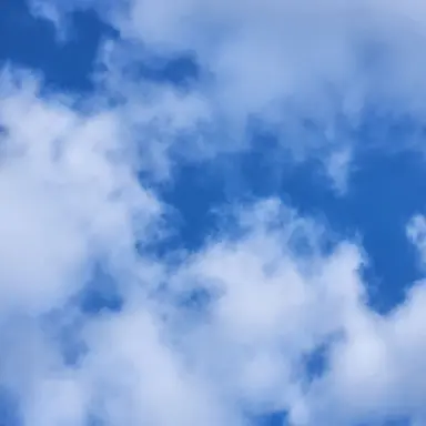 Profile image of 이하늘