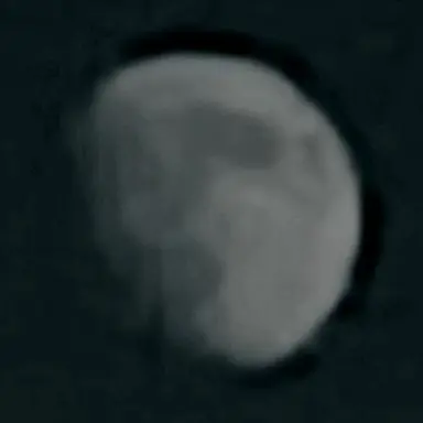 Profile image of 스텔라