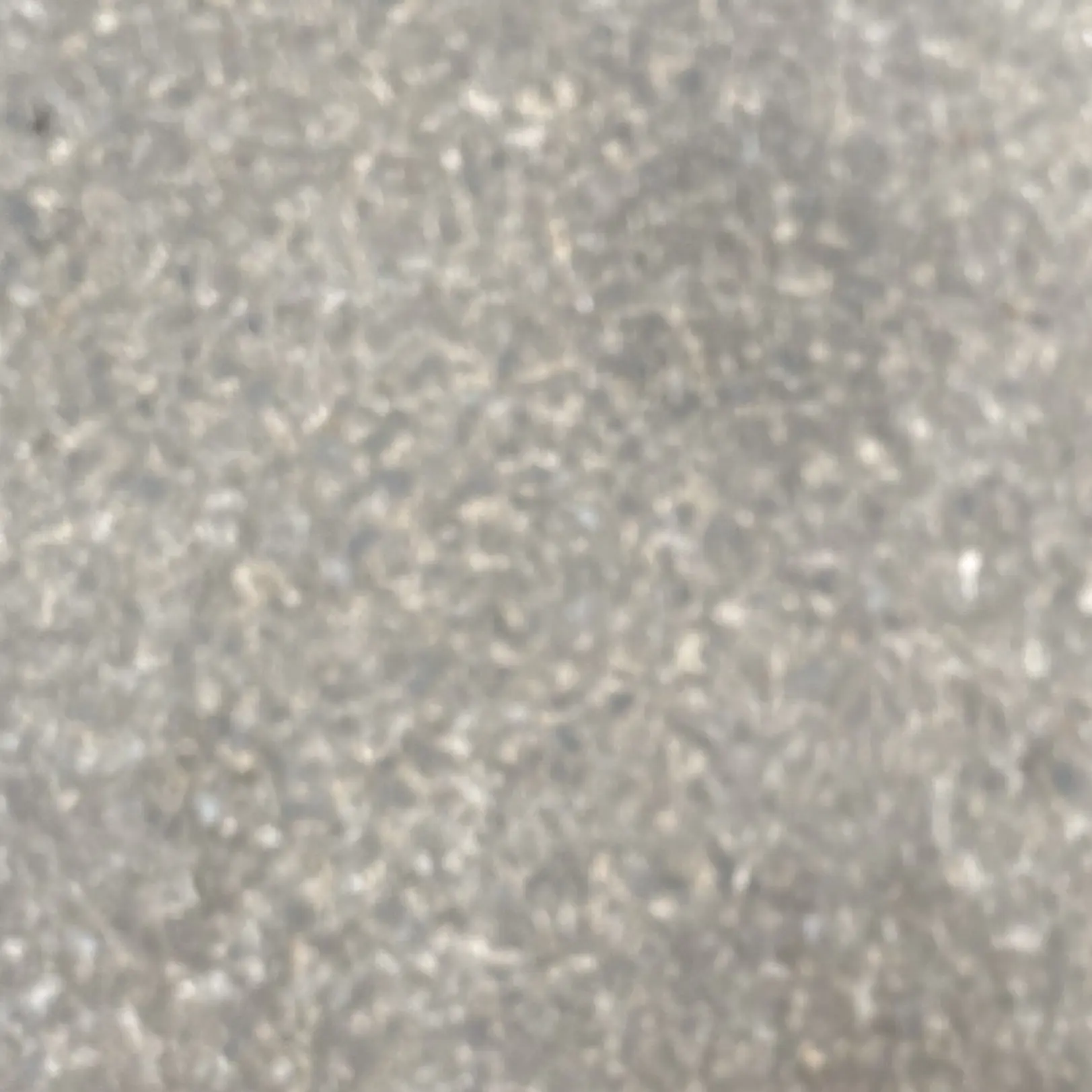 Ca_rat의 체슨첧