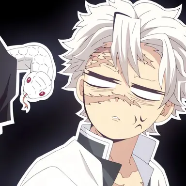 Profile image of 시나즈가와 사네미