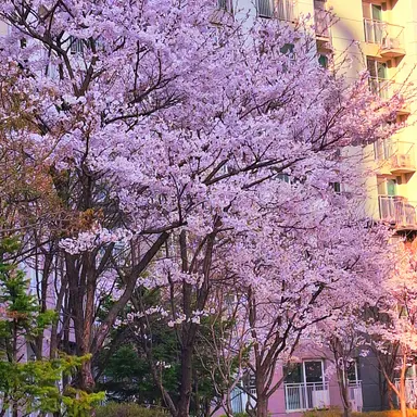 Profile image of 신민재