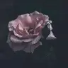 Profile image of イザヤ