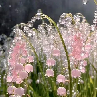 Profile image of 카르미