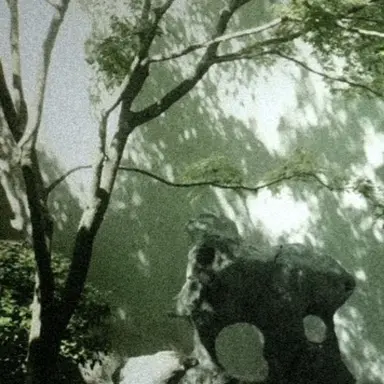Profile image of 주혈진