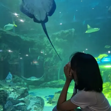 Profile image of 조현진