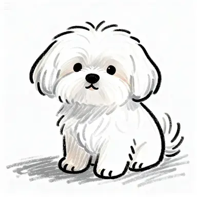 Profile image of 몽이
