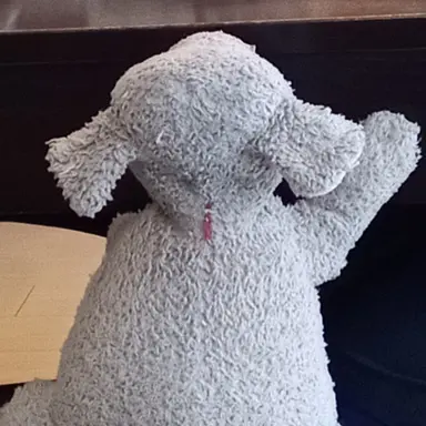 Profile image of 深澤辰哉