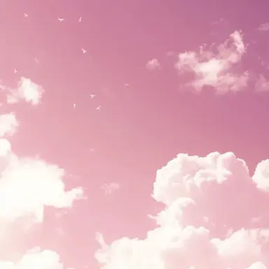 Profile image of 華