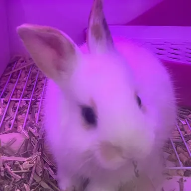 Profile image of 한유진