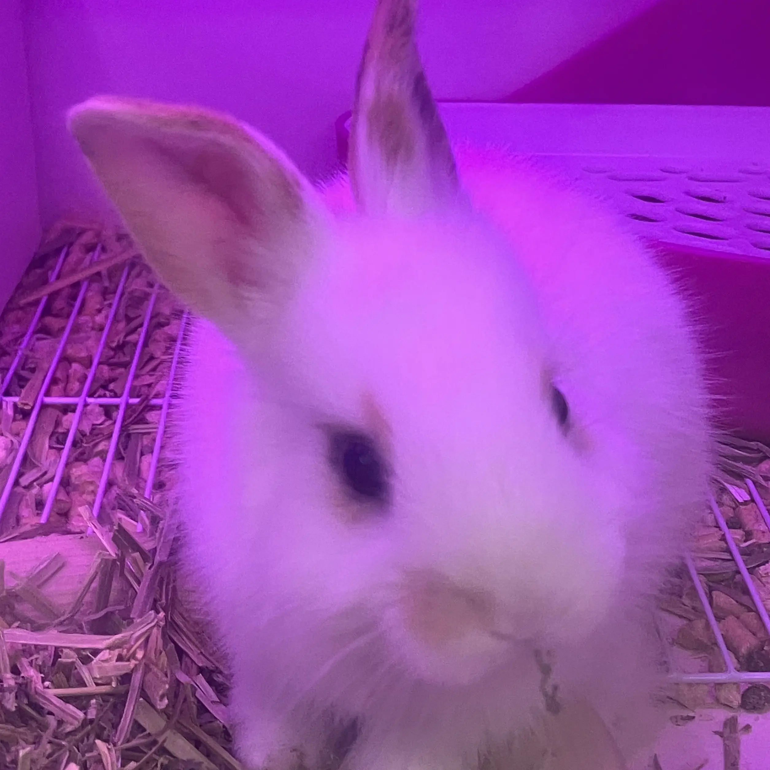 hunlove13의 한유진