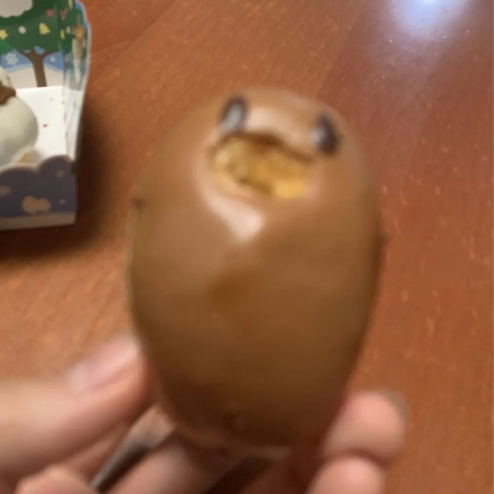 meiyvl의 やばい人間