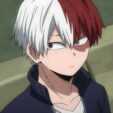 Profile image of Shoto Todoroki