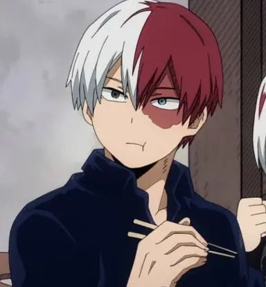 Profile image of Shoto Todoroki