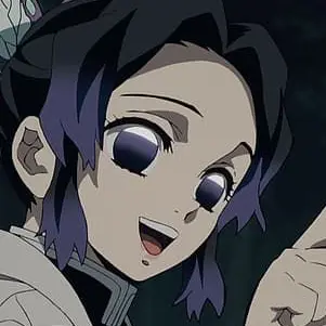 Profile image of 胡蝶 しのぶ