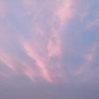 Profile image of 吉成