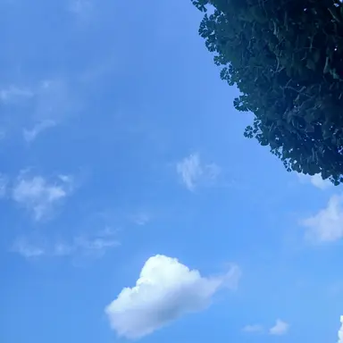 Profile image of 픽셀리중