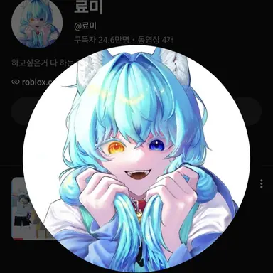 Profile image of 료미