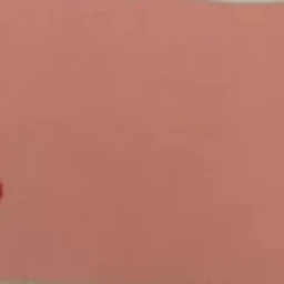 김여우