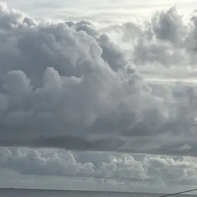 Profile image of 슬기로운 의사생활