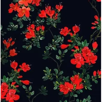 Profile image of 서라더
