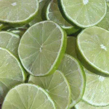 Profile image of 티푸