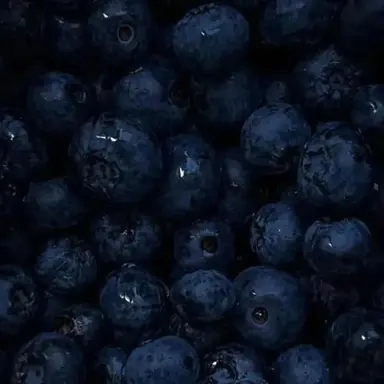 Profile image of 파이브