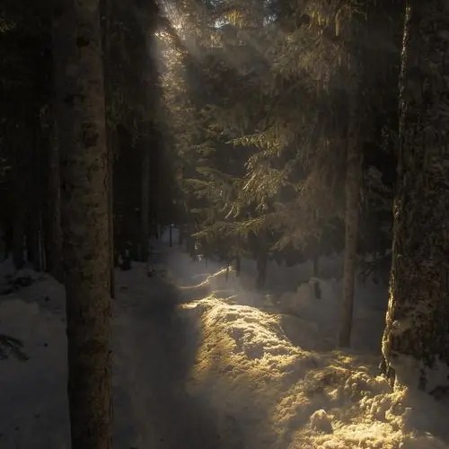 LightNurse0685의 Snowdrift Stranger