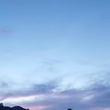 Profile image of 亜細亜組