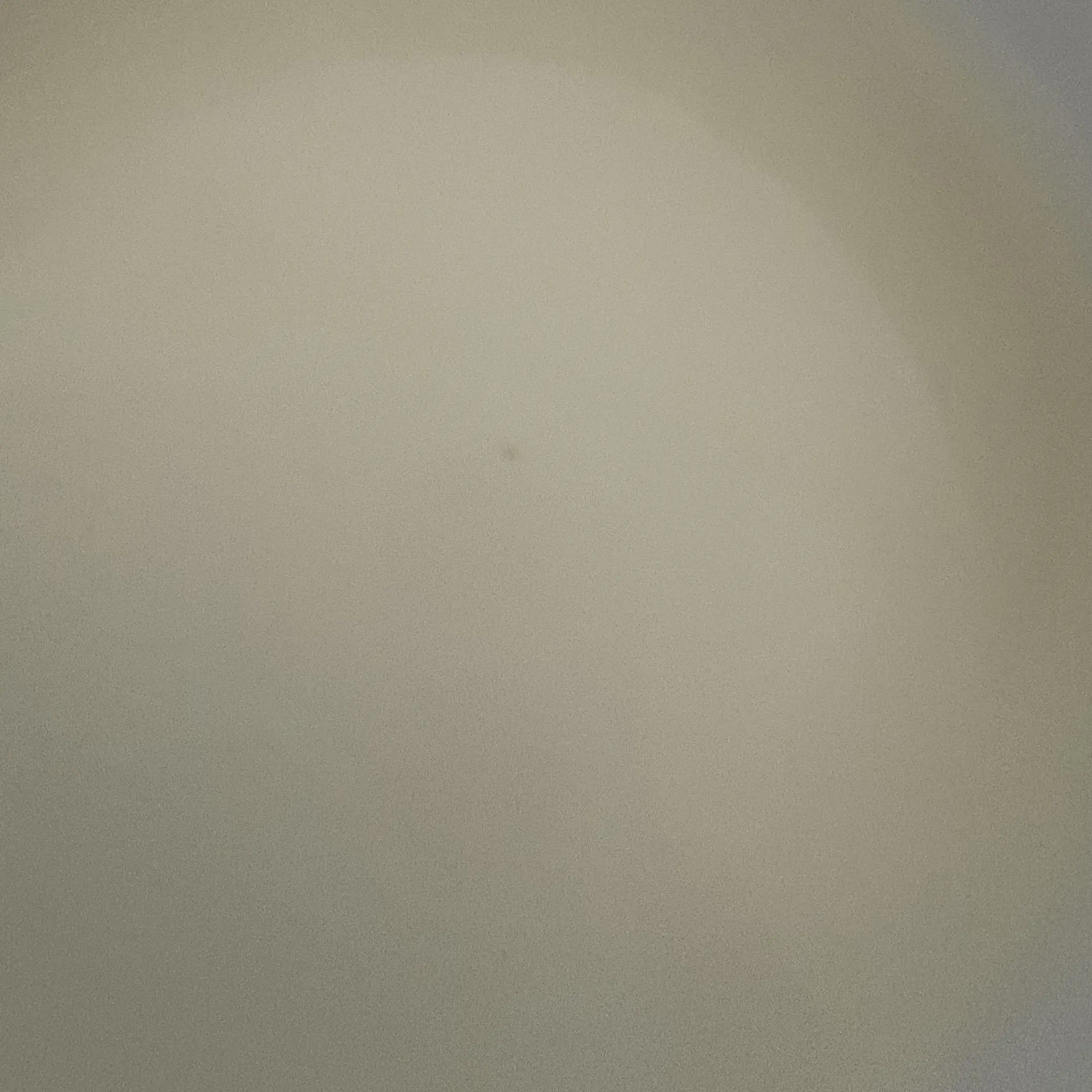 botang의 ㄷㅂㄷ가족(완전 막내 Ver)