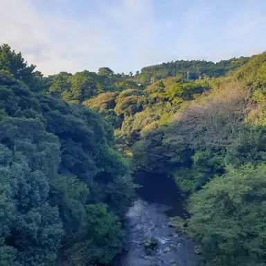 Profile image of 이윤서