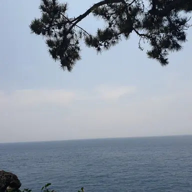 Profile image of 김준희