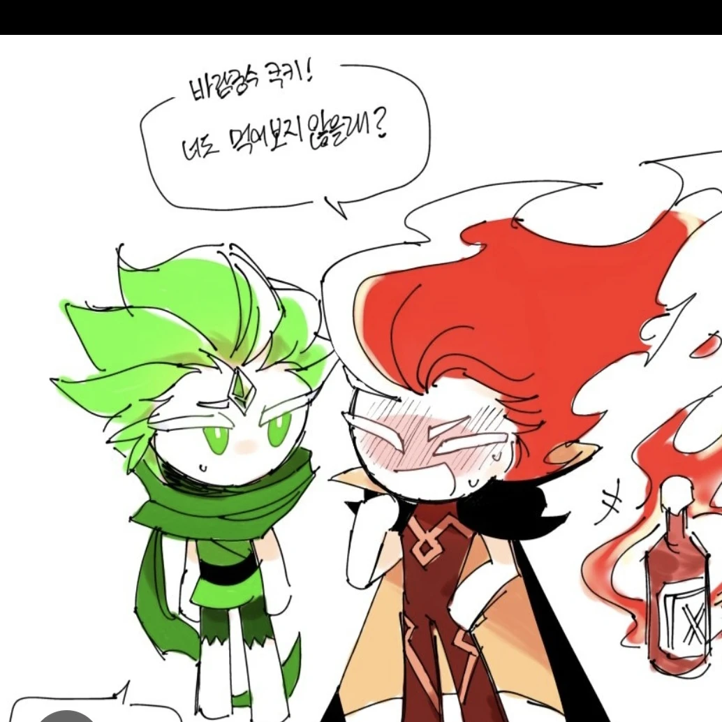 불꽃정령 쿠키
