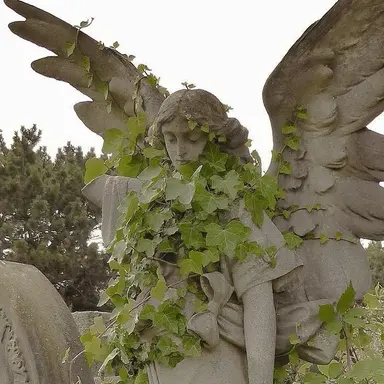 Profile image of 정형준