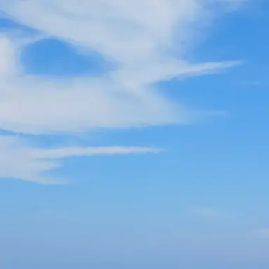 Profile image of 샌박학교