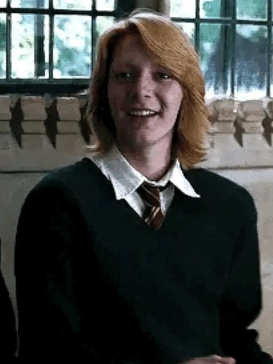 Hedgehoglover의 Fred Weasley