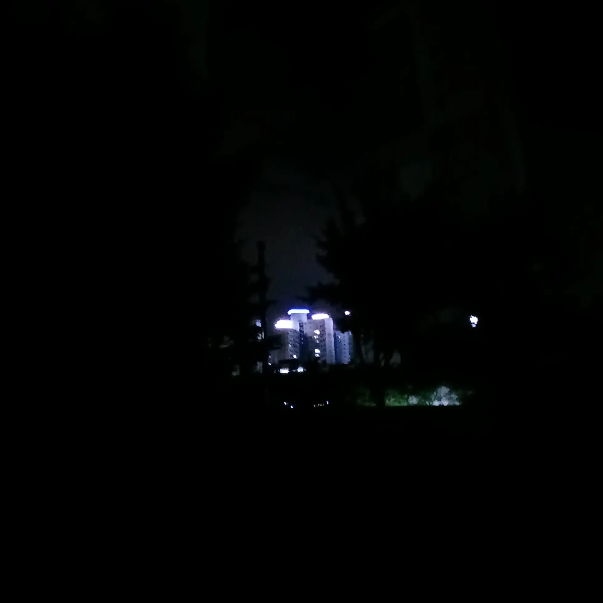 CrispyRisk6674의 미스터리 수사반