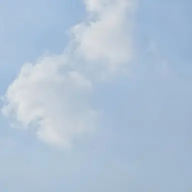 Profile image of 야마모토 하쿠